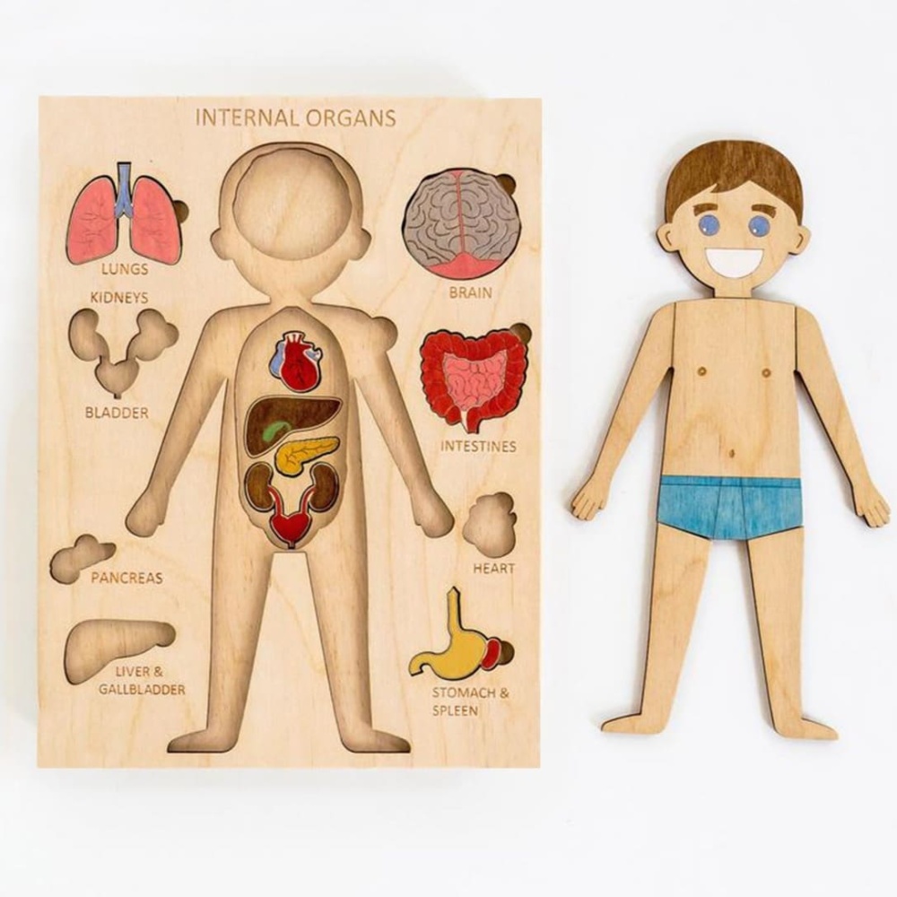 Puzzle corps humain en bois à peindre pour enfants