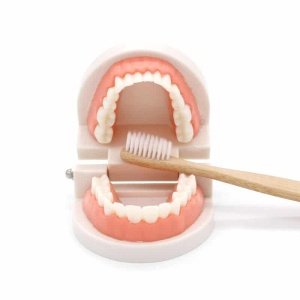 Jouet de brossage des dents avec bouche ouverte et brosse a dent en bois