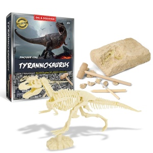 Kit d'excavation de Fossile de Dinosaure Exquis pour enfants avec squelette t rex