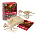 Kit D’Excavation De Fossiles De Dinosaure – Boîte Aveugle Avec Squelette Aléatoire Et Outils (STEM, 6-12 Ans)
